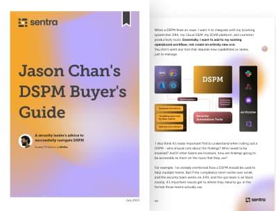 DSPM Buyer’s Guide - inner image